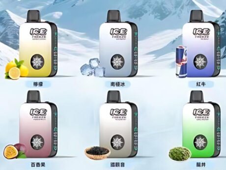 ICE FREEZE 10000自由調涼度電子煙